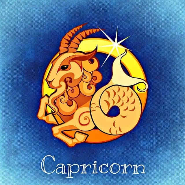 horoscope, capricorn, astrology, zodiac sign