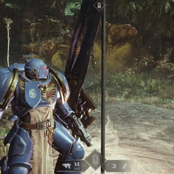 Space Marine 2 Bulwark Build