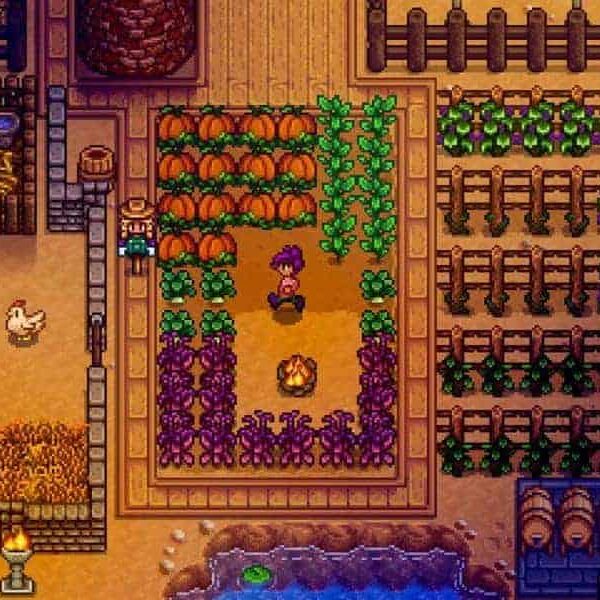 Stardew Valley/cozy games