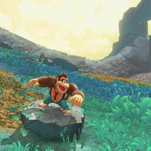 Donkey Kong Bananza/ completionist