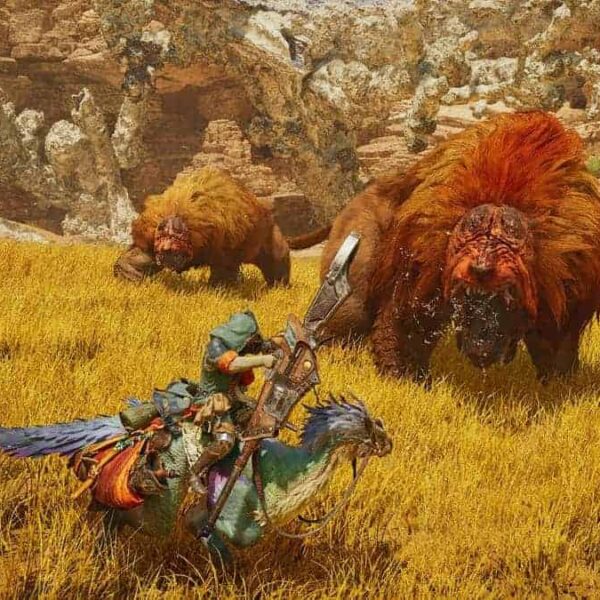 Monster Hunter Wilds, Steam