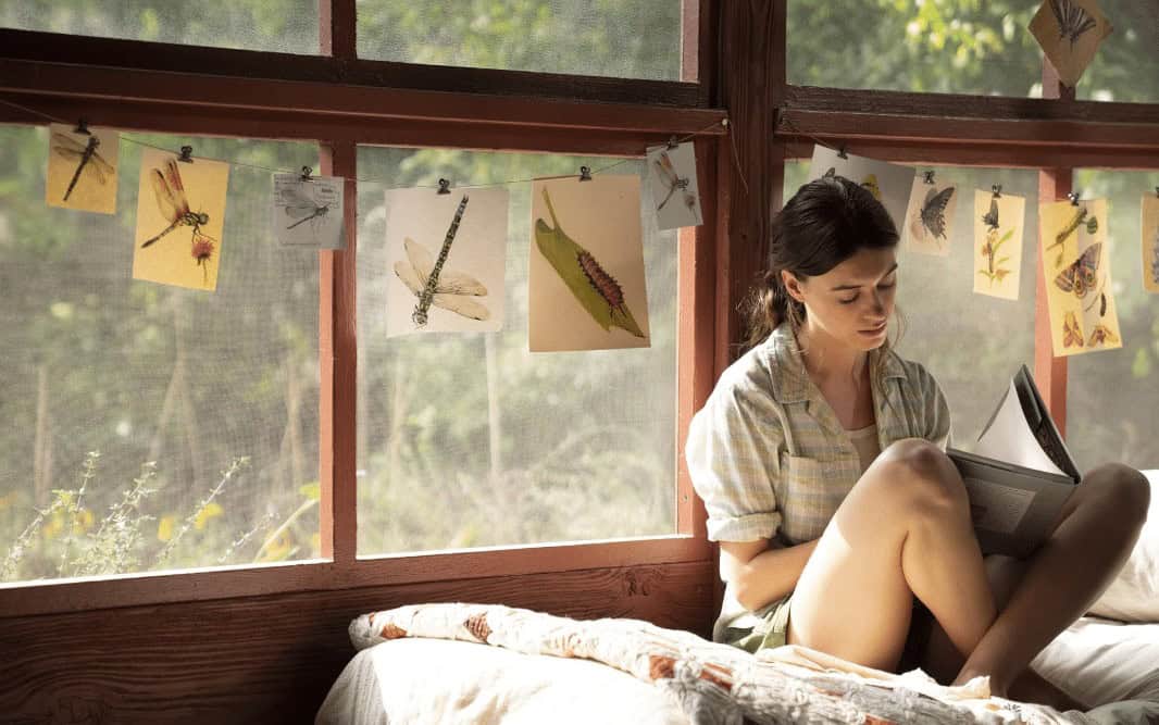 Top 10 Movies: Where the Crawdads Sing (Courtesy of Netflix)