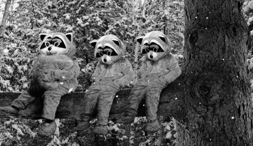 Top 10 Movies: Hundreds of Beavers | Courtesy of Prime Video