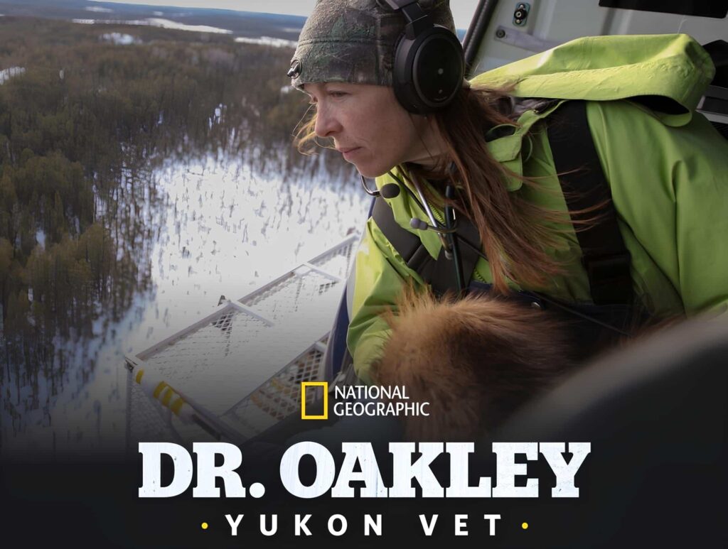 Promotional image for National Geographic and Disney+'s Dr. Oakley Yukon Vet series