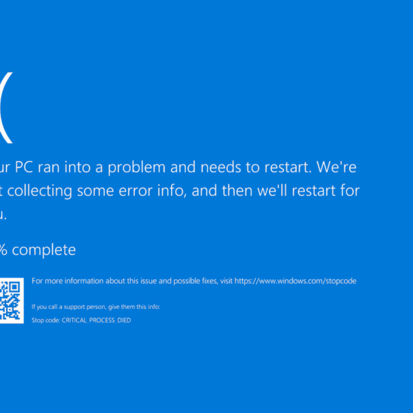 Windows Blue Screen of Death screenshot/ Windows 11