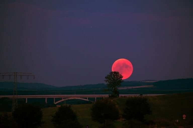 Strawberry Full Moon