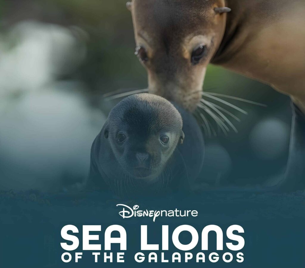 Sea Lions of the Galapagos tv series promotional images