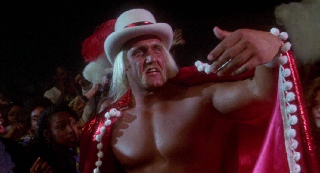 hulk hogan movies