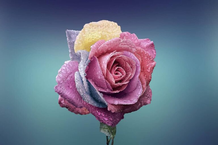 digital romance