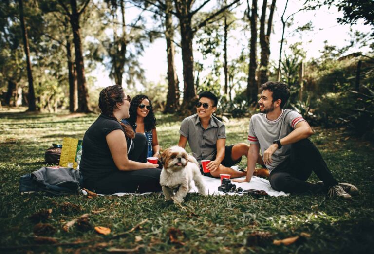 Friends having a fun picnic in the park with a Shih Tzu, enjoying a sunny day outdoors. international friendship day