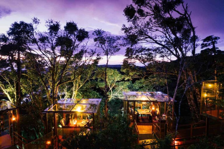 Costa Rica San Lucas Treetop Dining Experience