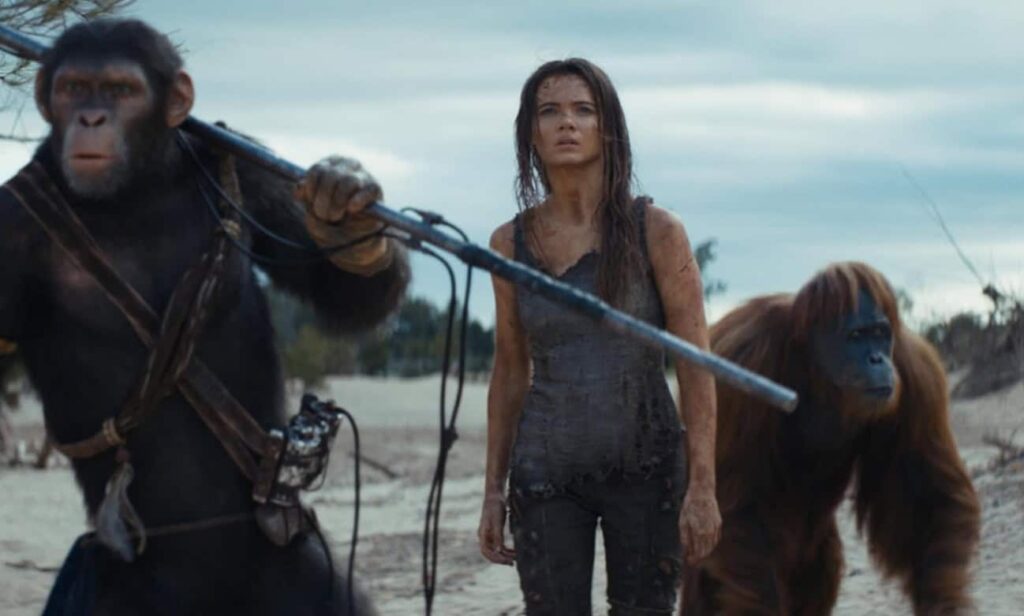 Top 10 Movies: Kingdom of the Planet of the Apes | Courtesy of HBO Max