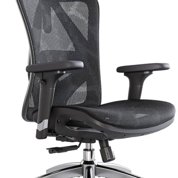 Sihoo M57 ergonomic chair