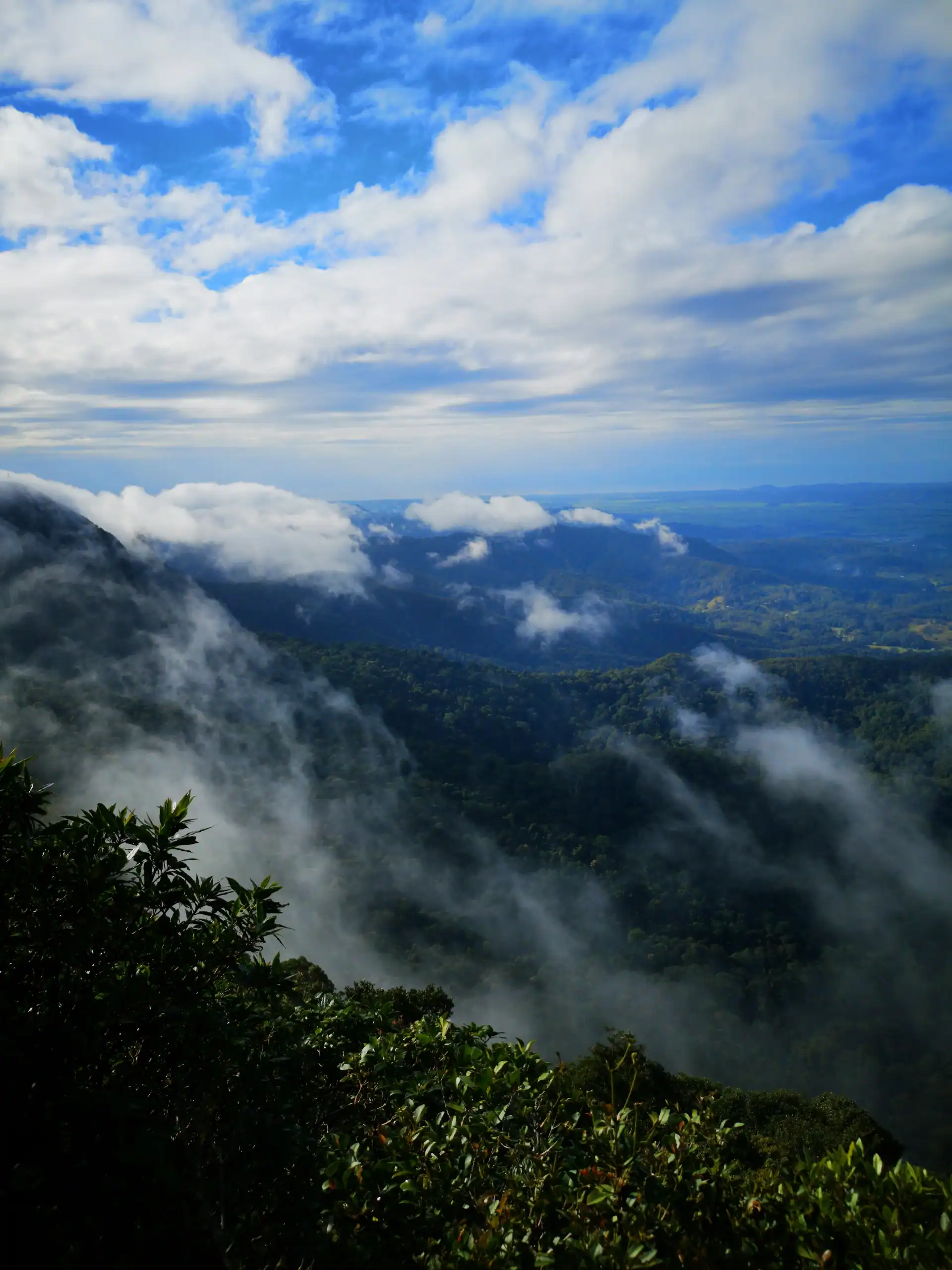 Panoramic view of mountains, mist, and wilderness against a bright blue, cloud-filled sky at Springbrook National Park, Quuensland, Australia