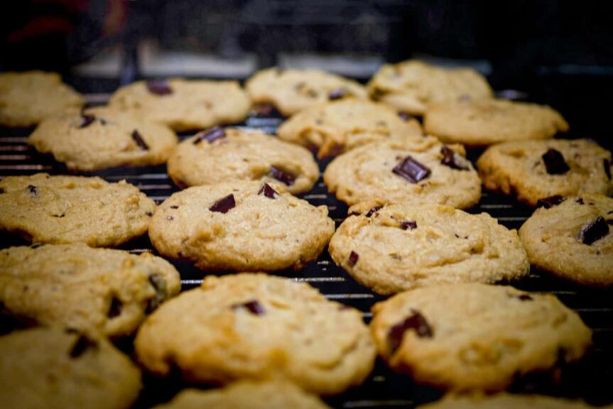 chocolate chip cookie
