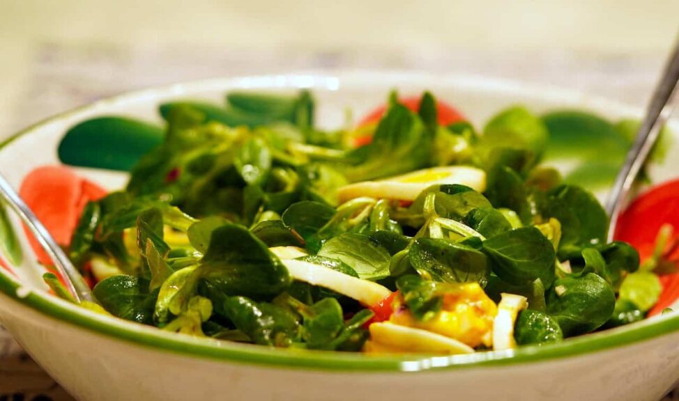 salad, lamb's lettuce, corn salad, healthy meal, vegetables, salad, salad recall