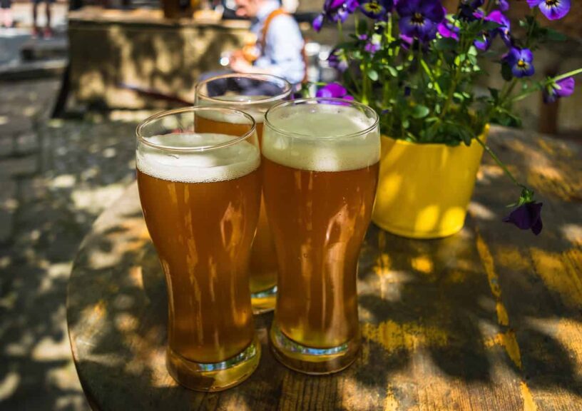 beer, wheat, yeast, foam, wheat beer, cloudy, thirst, drink, alcohol, prost, beer garden, beer glass, three, refreshment, yummy, beer, beer, beer, beer, beer, yeast, beer garden, beer garden, beer garden
