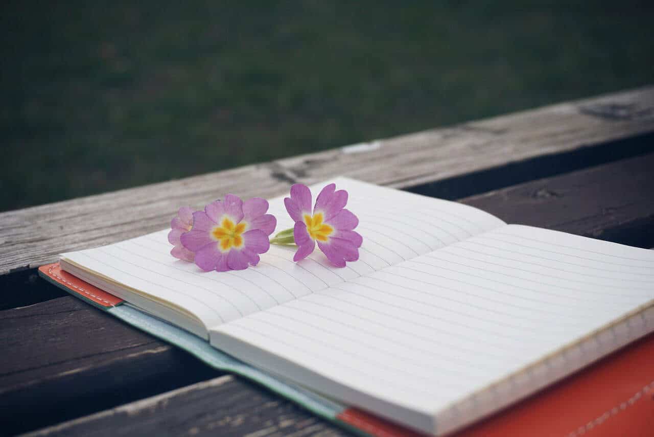 bench, flower, notebook, pen, wooden, notepad, wooden table, lifestyle, modern, beautiful flowers, creative, white, flower background, flora, plant, spring, note, flower wallpaper, decoration, environment, life, natural, decorative, nature, garden, journaling
