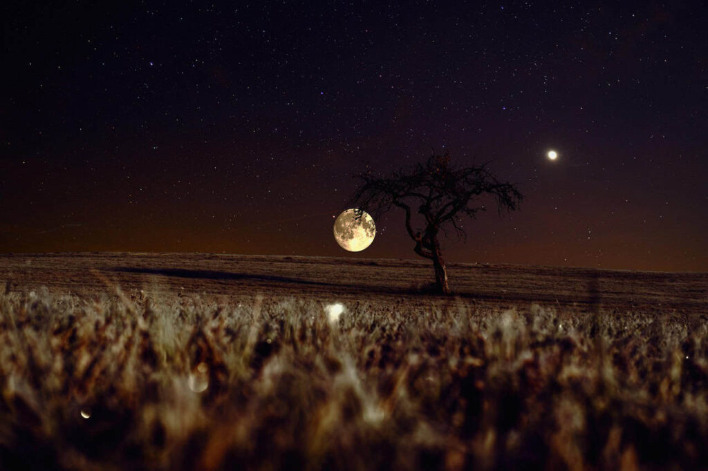 sky, moon, night, evening, night sky, full moon, moonlight, venus, stars, field, meadow, landscape, scenery, nature, moon, moon, moon, moon, moon, night sky, moonlight lunar phases