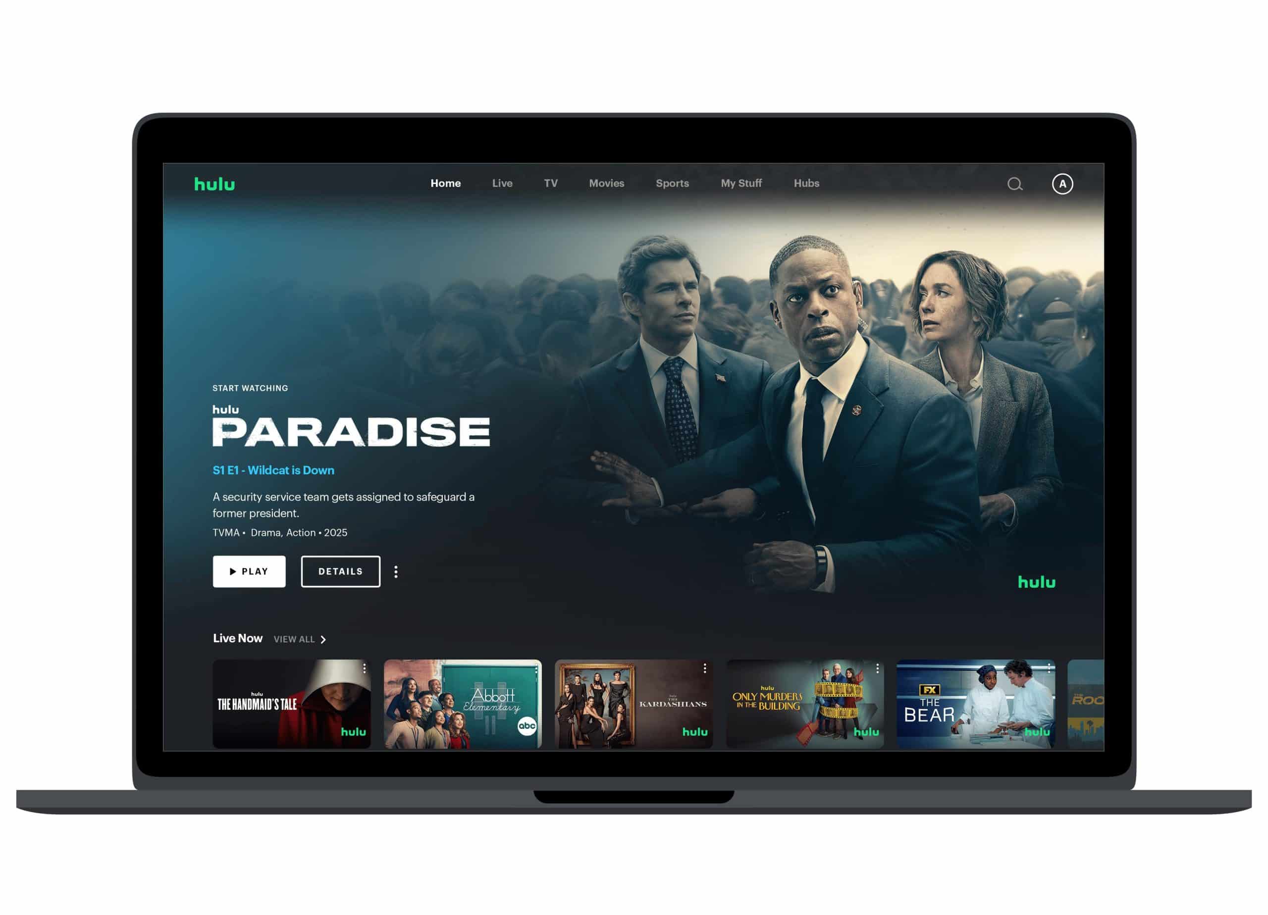hulu disney streaming platform