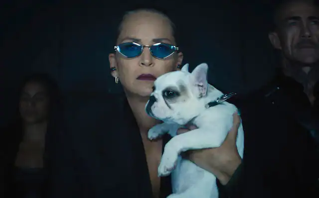 Nobody 2: How Sharon Stone Turned Social Media Cruelty Into Creative Power