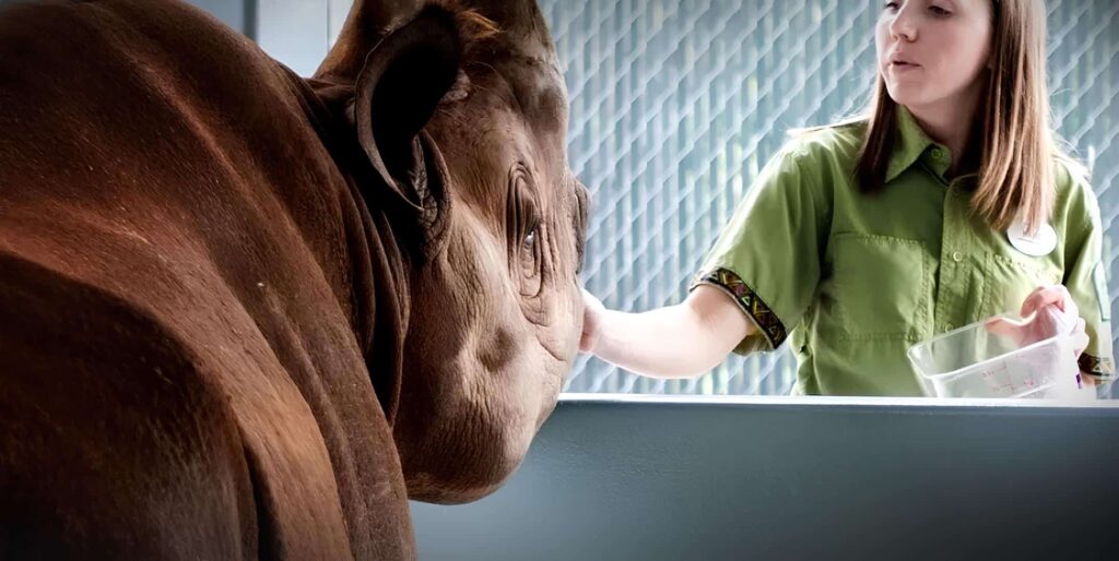 promotional image for tv docuseries Magic of Disney's Animal Kingdom available on Disney+