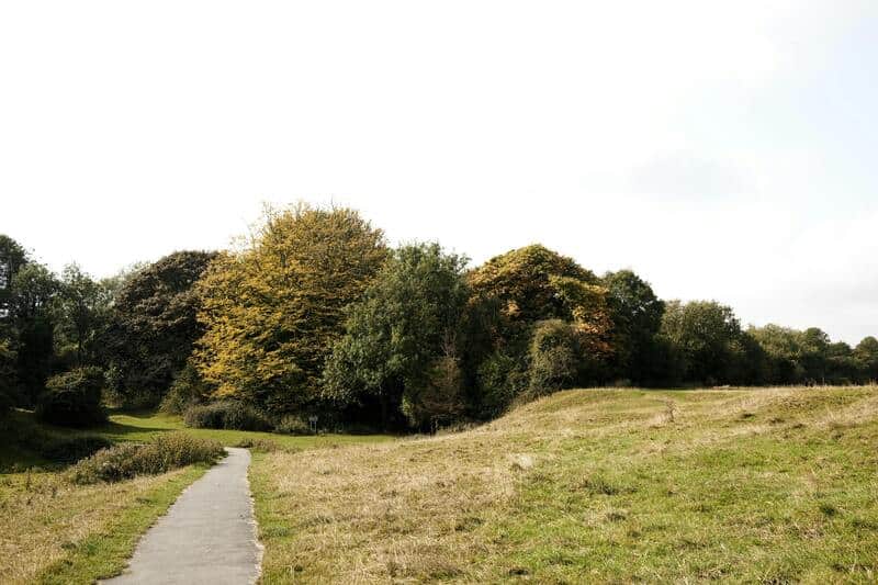 entering a new season