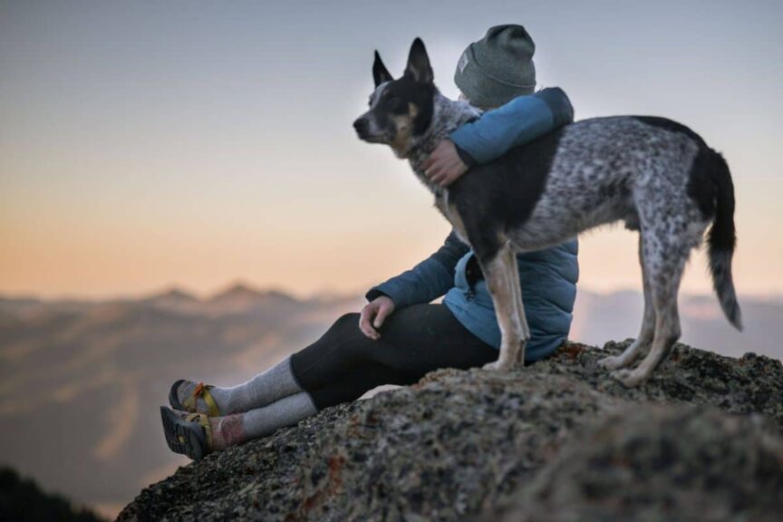 Best National Parks that are great for dogs