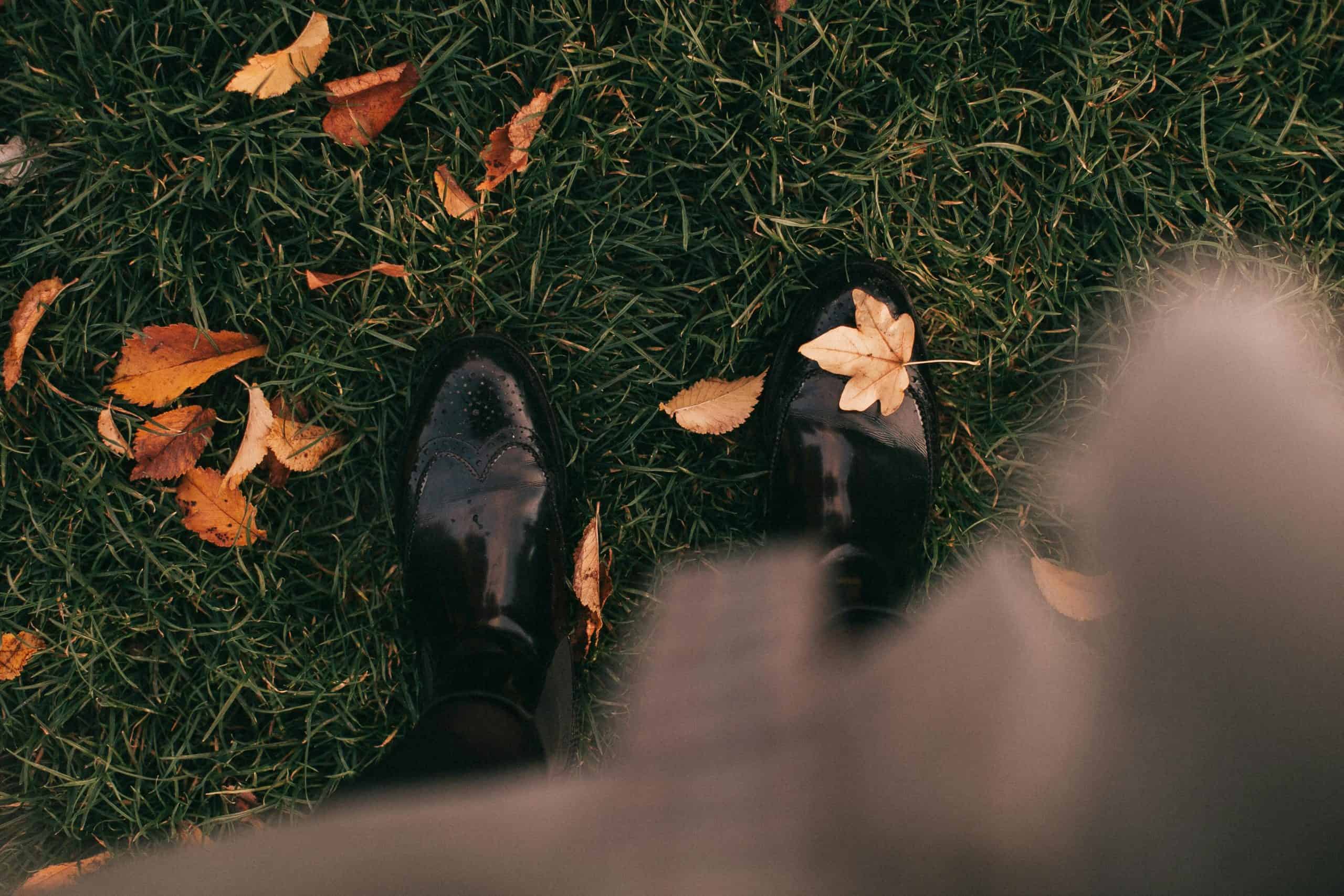 A pair of leather shoes surrounded by autumn leaves on grass, creating a seasonal fall vibe.