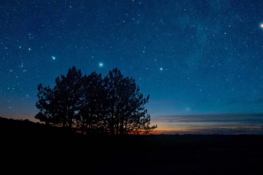 This photo features a tree and a starry sky. Looking up at the stars is a great way to reconnect with nature.
