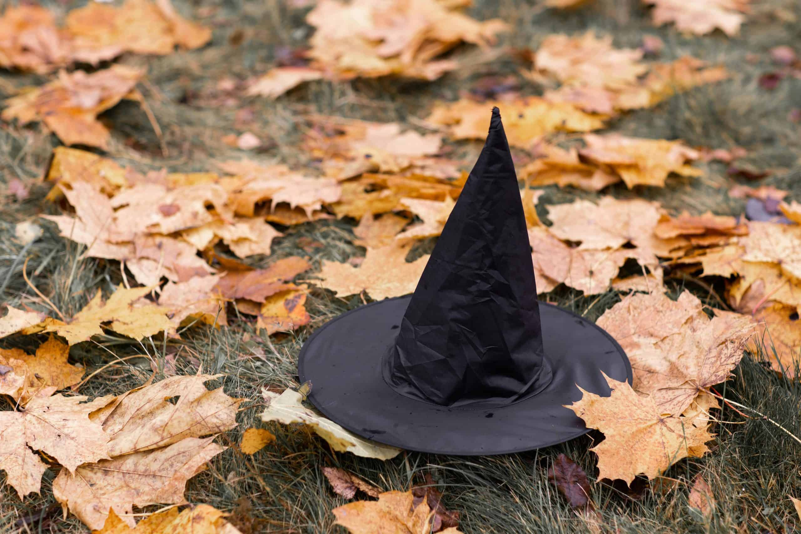 A black witch hat laying on fallen autumn leaves, creating a Halloween vibe.
