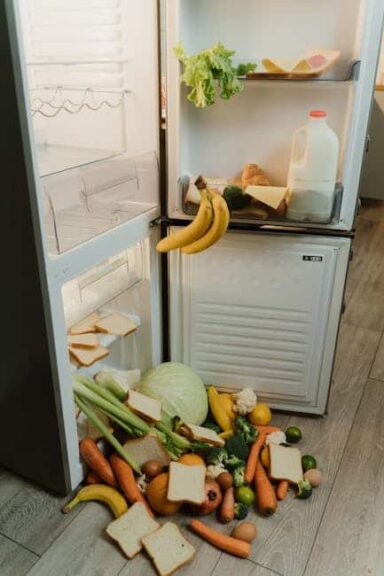 A messy open refrigerator with fresh vegetables and bread scattered on the floor. Going zero-waste
