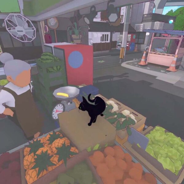 Little Kitty Big City