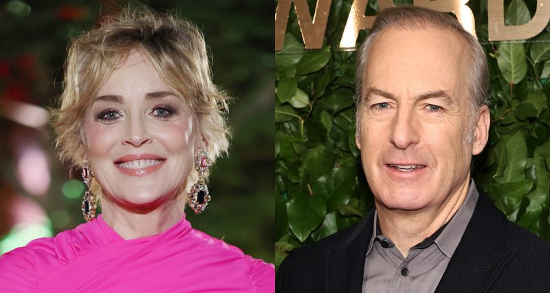 Nobody 2 stars Sharon Stone and Bob Odenkirk