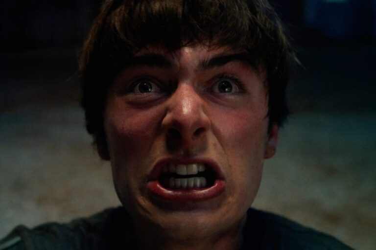 Stranger Things' Will Byers image courtesy of Netflix (https://www.radiotimes.com/tv/sci-fi/stranger-things-season-5-theories/)