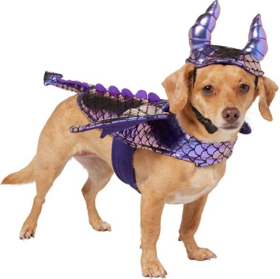 Frisco Dragon Dog & Cat Costume Accessory / Halloween costumes for dogs