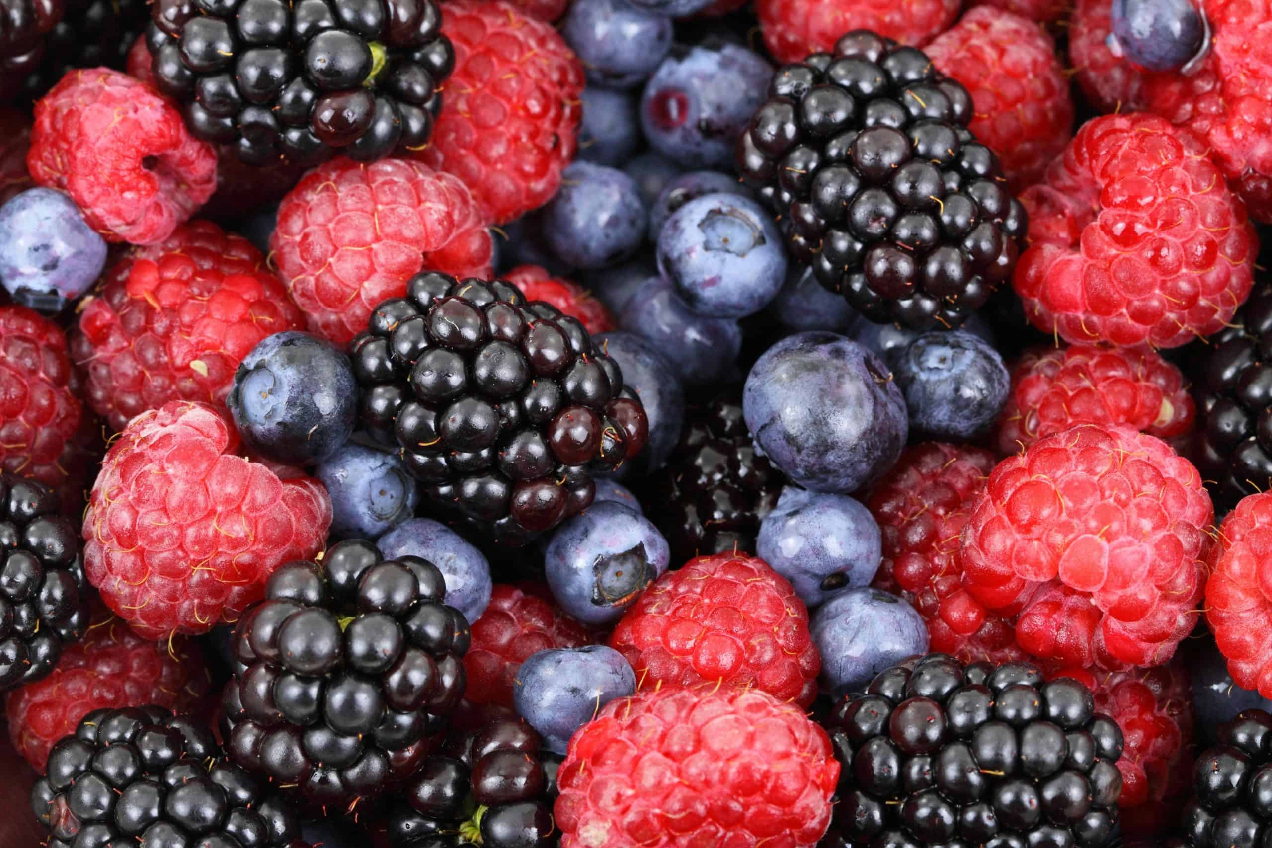 A colorful and fresh assortment of blackberries, raspberries, and blueberries highlighting their natural textures and colors.