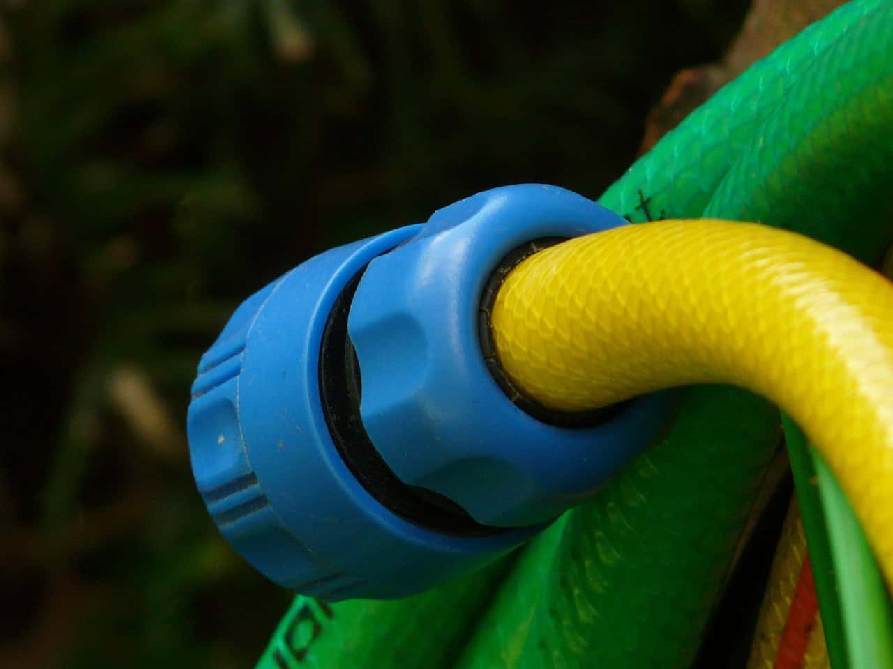 hose, garden hose, irrigation, water, nature, splash, to water