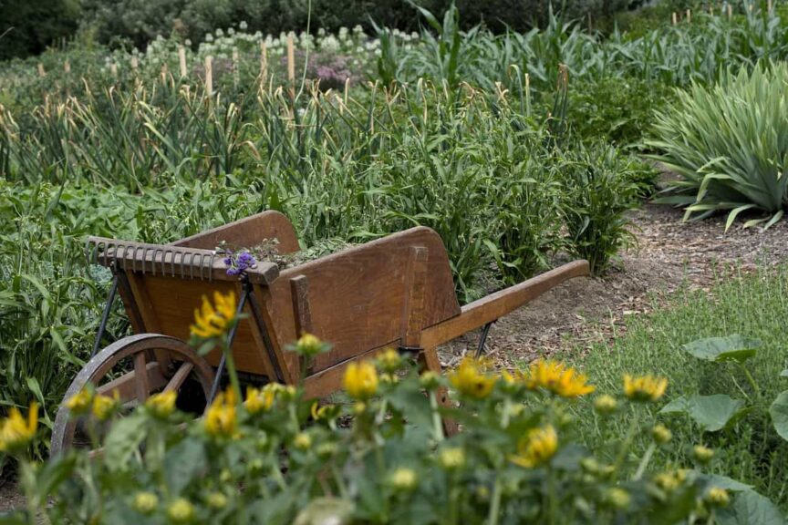 garden netting, garden, wheelbarrow, nature, gardening, home garden, flower garden, vegetable garden