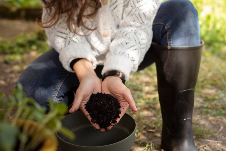 woman, hands, plant maintenance, compost, eco-activity, organic, house, spring, agricultural, farm, diy gardening, ecological gesture, healthy lifestyle, environmental, slow life, home gardening, urban agriculture, nature, outdoor activity, soil preparation, natural lifestyle, vegetable garden, botanical, soil, DIY fertilizers, fall garden