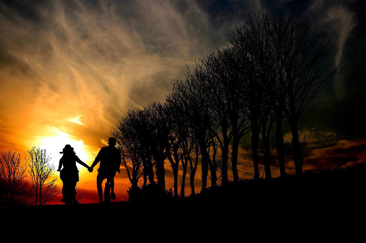 sunset, nature, trees, clouds, couple, silhouette, in love, evening, dusk, peaceful, fall