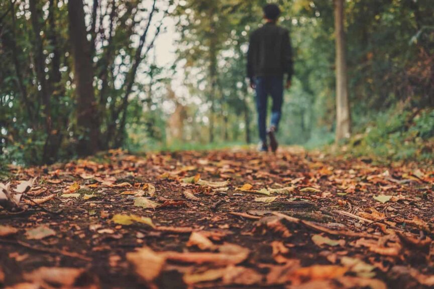 fall wellness, autumn, leaves, foliage, autumn leaves, autumn foliage, autumn colors, autumn season, fall foliage, fall leaves, fall colors, forest, nature, fallen leaves, fall, ground, man, outdoors, person, brown leaves, ground, ground, ground, ground, ground