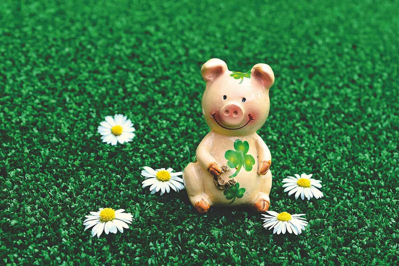 lucky pig, characters, cute, nature, happiness, shamrocks, lucky charm, piglet, fun, funny, animal, pig, lucky clover, wishes, piggy, good luck