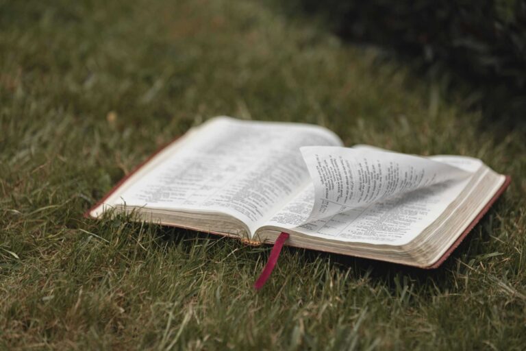 An open Bible on grassy ground, symbolizing spirituality and nature. Ideal for religious themes, daily devotion