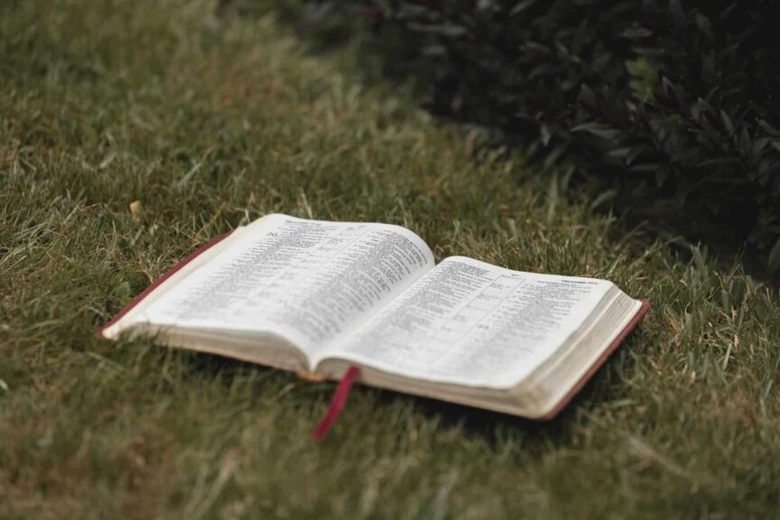 An open Bible rests on a lush grassy field in Hamilton, New Zealand, creating a serene and spiritual ambiance, daily devotional