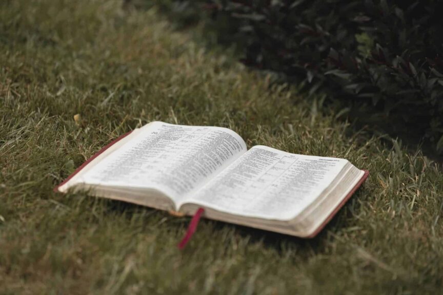 An open Bible rests on a lush grassy field in Hamilton, New Zealand, creating a serene and spiritual ambiance, daily devotion