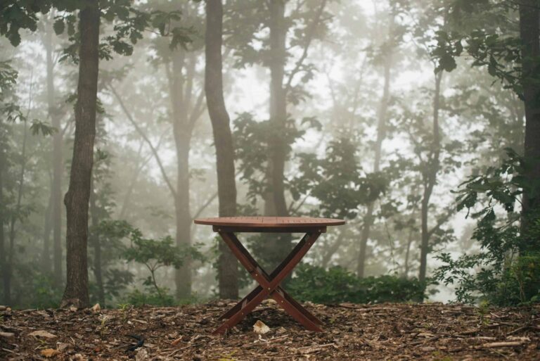 outdoor furniture, winterizing, A wooden table stands alone in a foggy forest, surrounded by dense trees and mist.