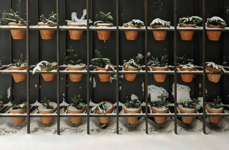 garder, fall, winter, Terracotta pots with evergreen plants covered in snow on a vertical rack during winter.