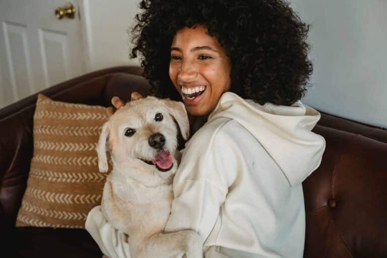 Happy young black lady hugging with dog while sitting on sofa in casual outfit in room. pets in dorms