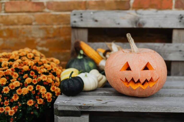 This photograph shows decorations for fall. Pumpkin carving can be part of your process of making autumn festive.
